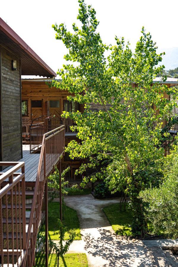Olimpia Hotel Όλυμπος Εξωτερικό φωτογραφία
